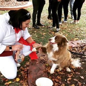 Meet your Posher, Nell